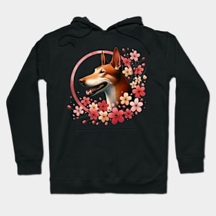 Cirneco dell'Etna Enjoys Spring Amidst Cherry Blossoms Hoodie